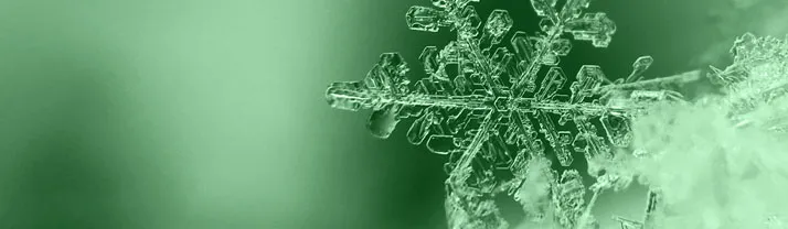 Un flocon de neige en gros plan, dont on distingue les six branches cristallines, sur un fond vert.