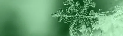 Un flocon de neige en gros plan, dont on distingue les six branches cristallines, sur un fond vert.