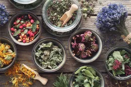 Des coupelles de plantes et d’épices séchées posées côte à côte.